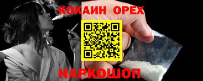 стаф Будённовск