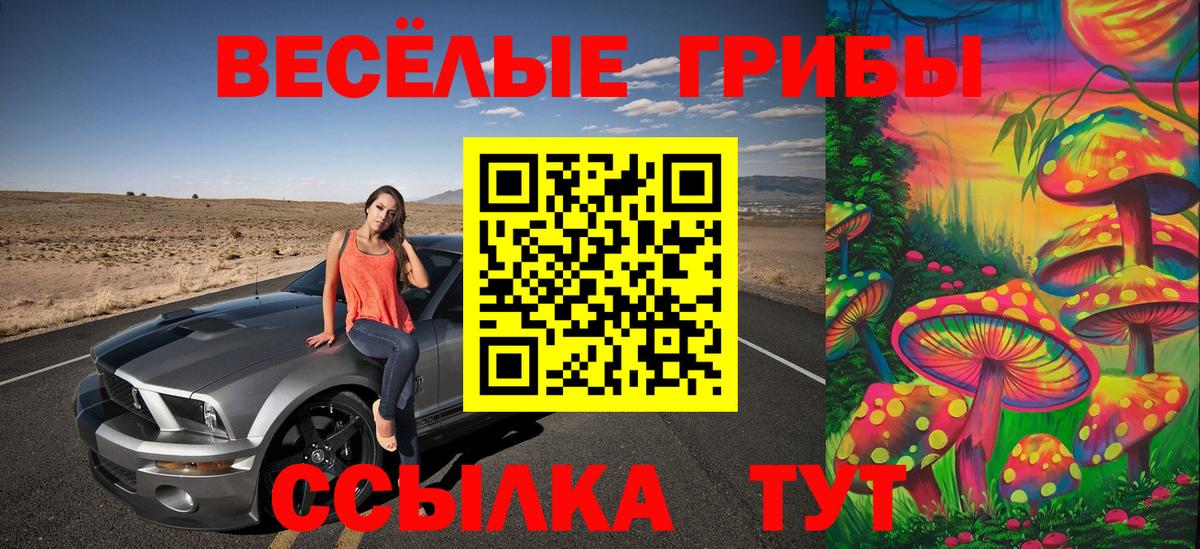 Искитим  Галлюциногенные грибы Psilocybine cubensis  Галлюциногенные грибы Cubensis  Вход с VPN 
