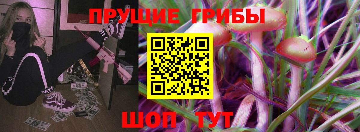 Псилоцибиновые грибы Cubensis Искитим