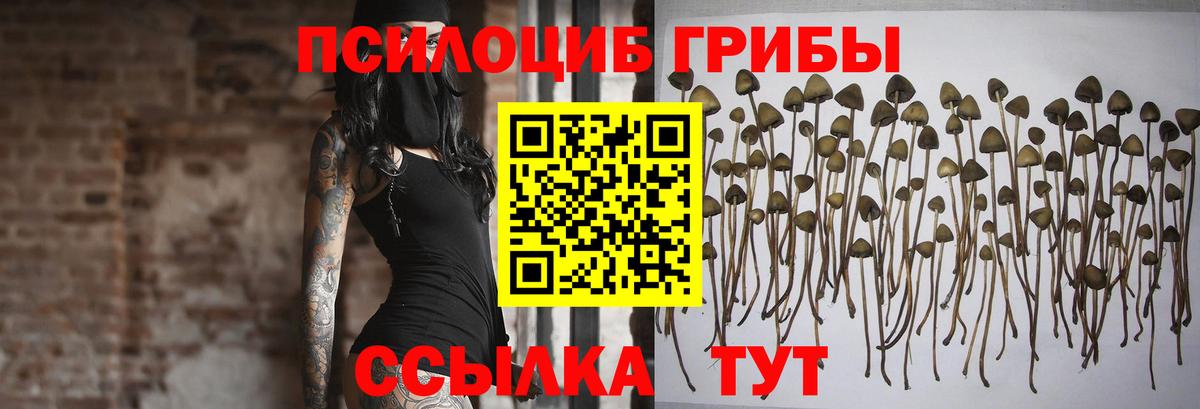 Искитим  Вход с VPN  ГАШ  Канабис  Cocaine  МЕТАМФЕТАМИН  ГАШИШ  Меф МЯУ МЯУ кристаллы  MDMA 